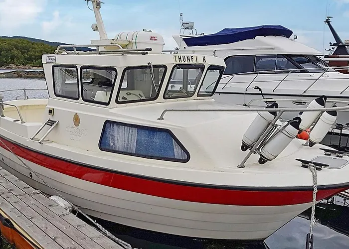 Vakantiehuis 6 Person In Aukra